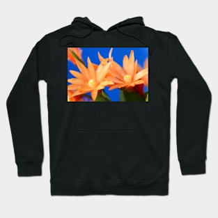 Rhipsalidopsis  Easter cactus Hoodie